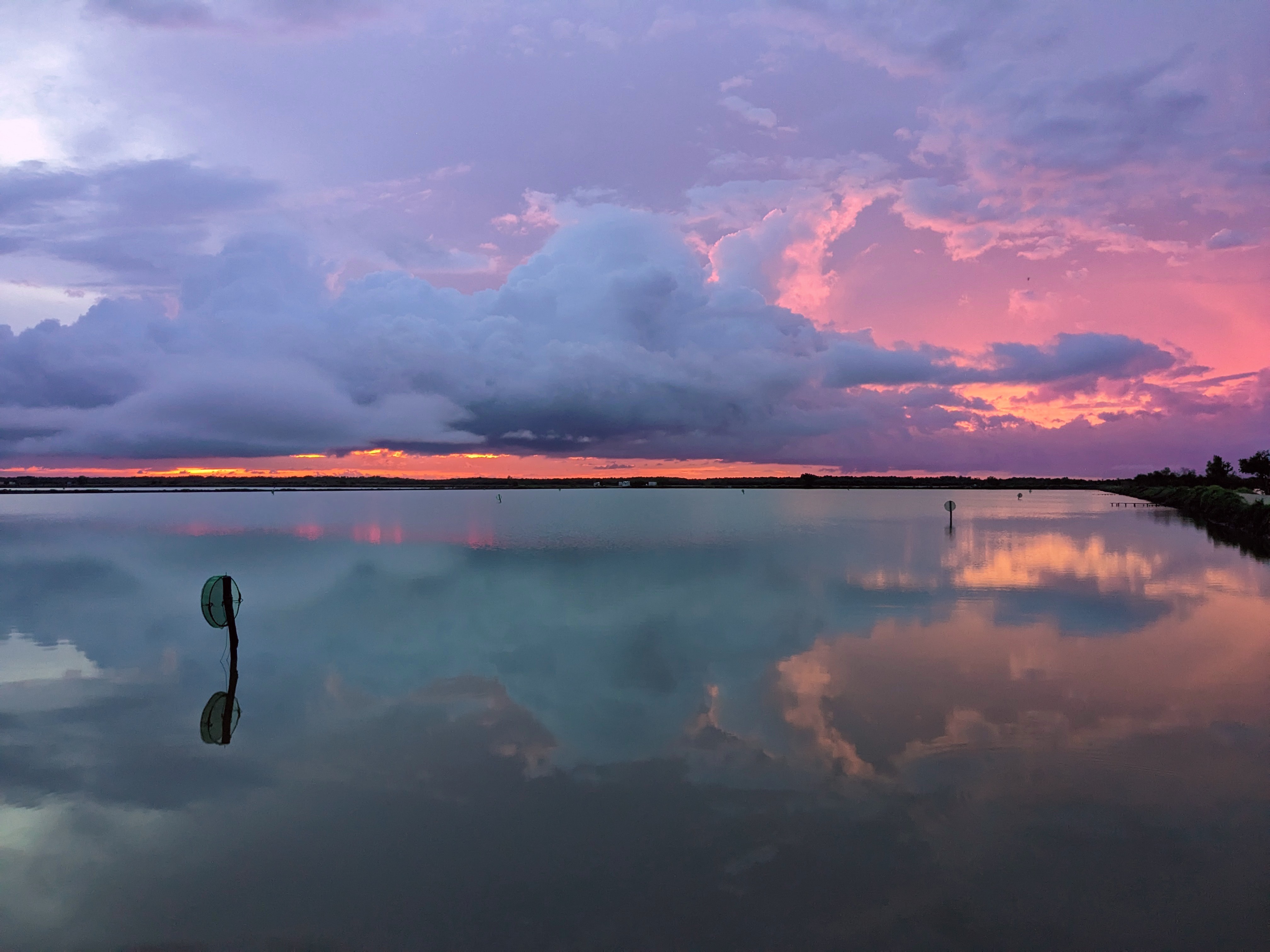 Shrimp Pond